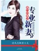 豪門閃婚之專業新妻